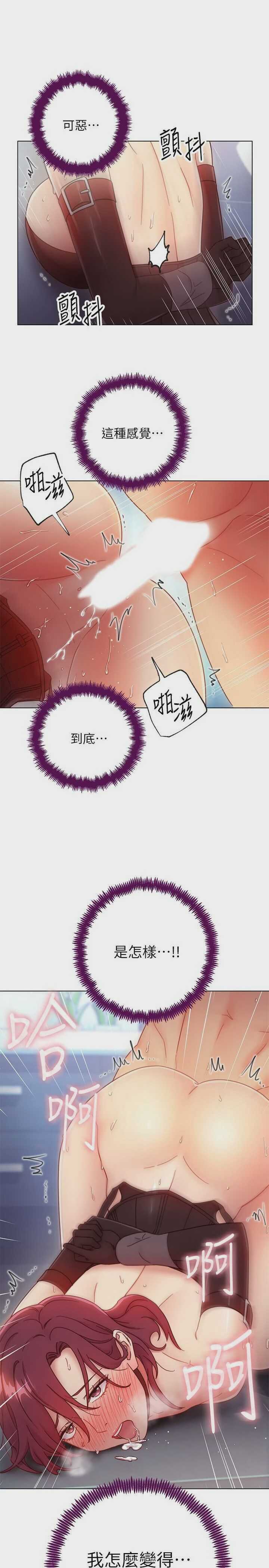 继母的朋友们