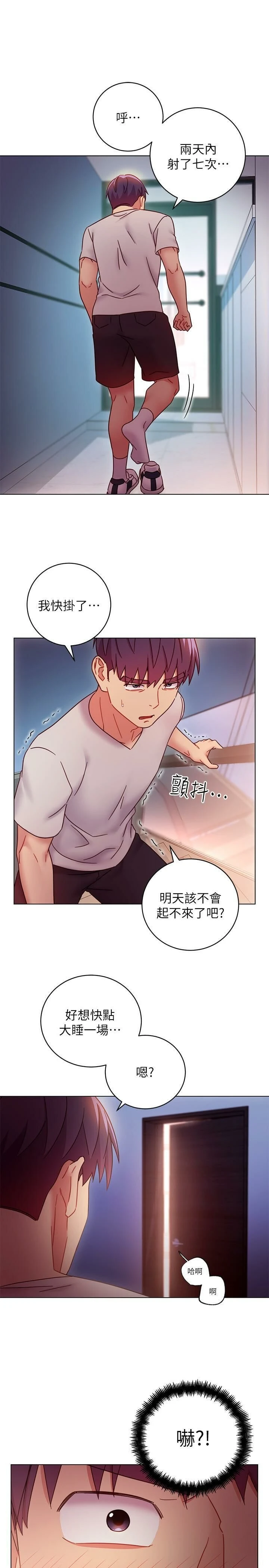 继母的朋友们