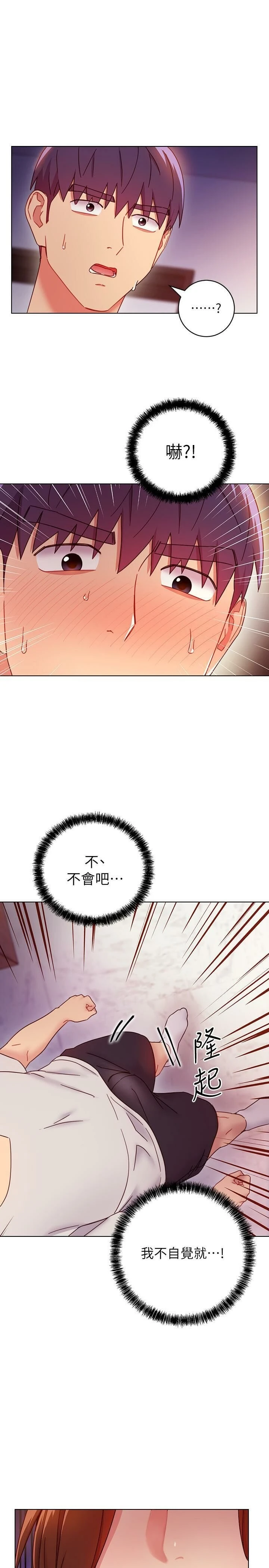 继母的朋友们