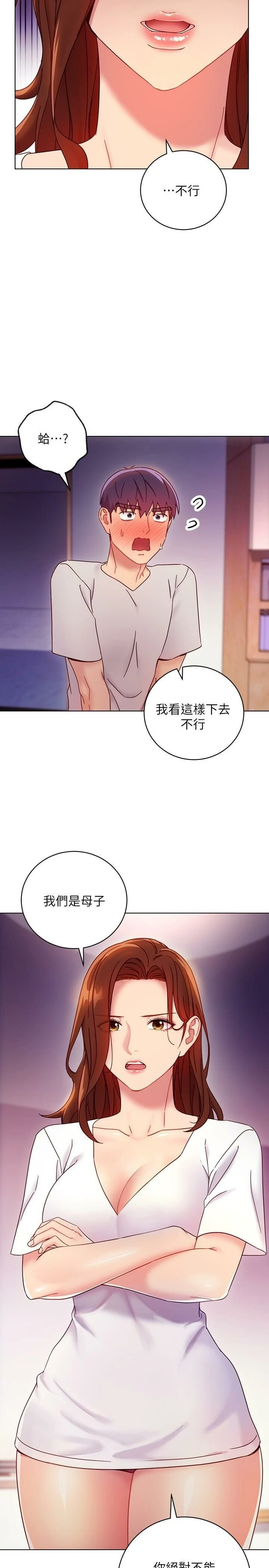 继母的朋友们
