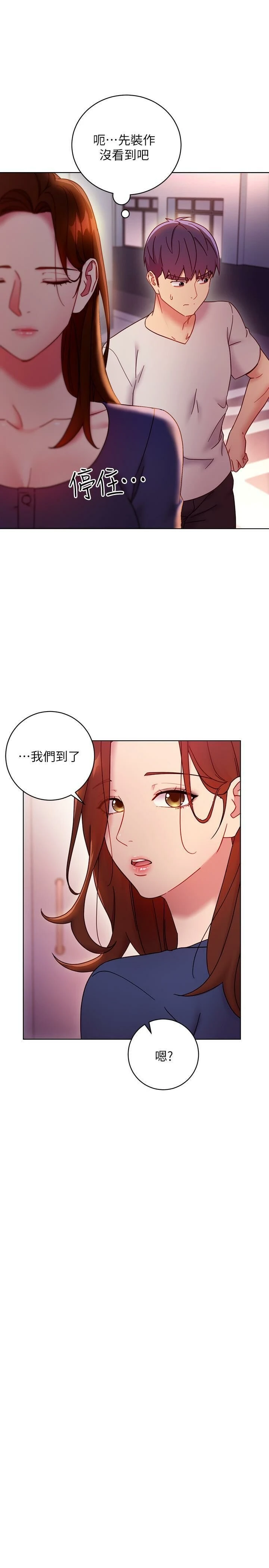 继母的朋友们