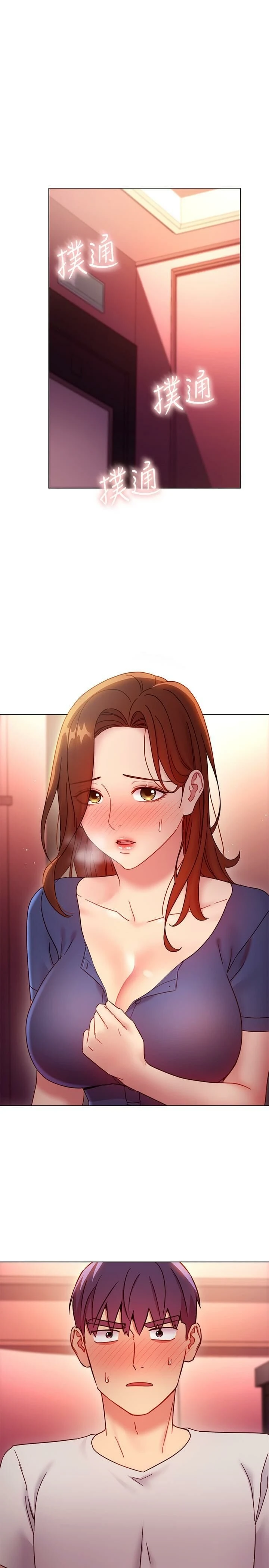 继母的朋友们
