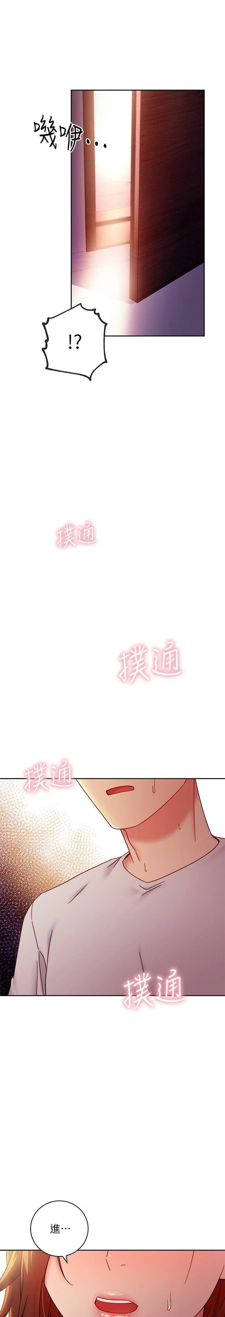 继母的朋友们