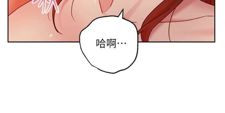 继母的朋友们