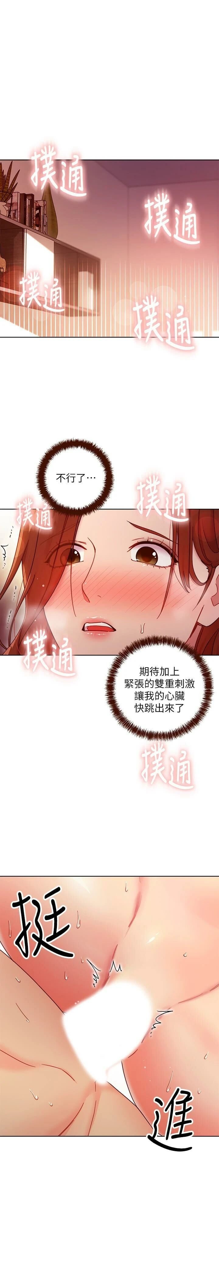 继母的朋友们
