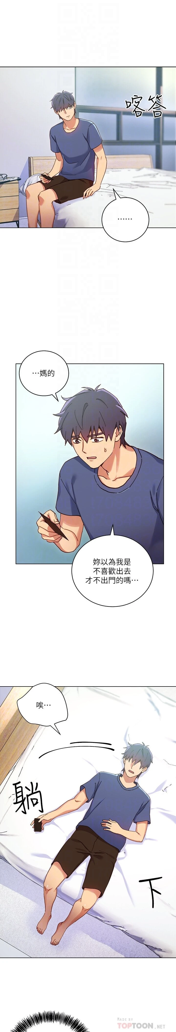 继母的朋友们