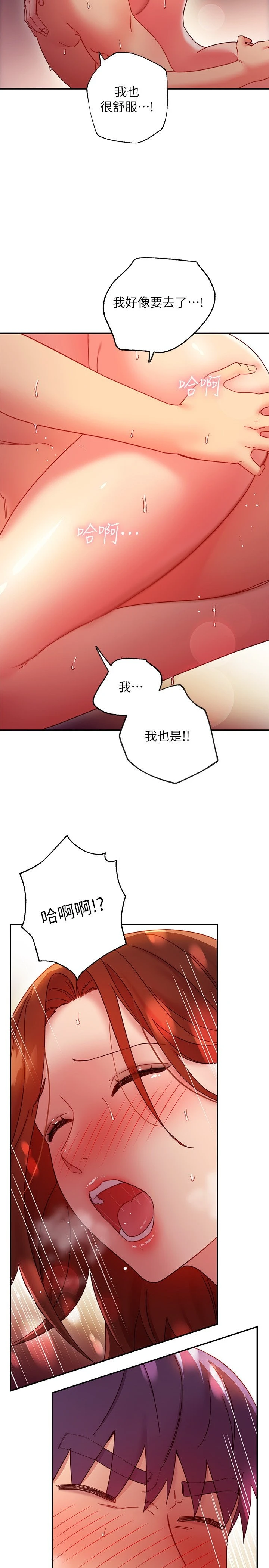 继母的朋友们