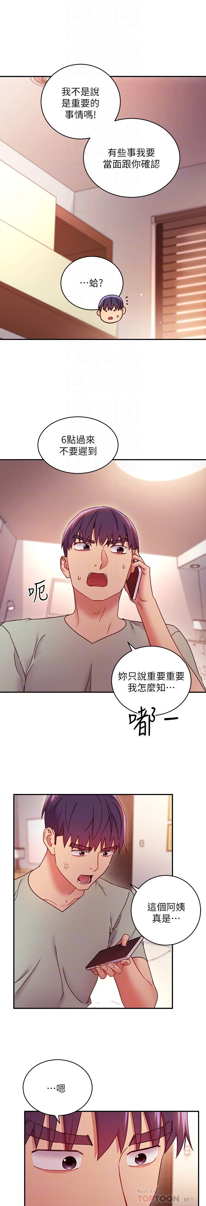 继母的朋友们