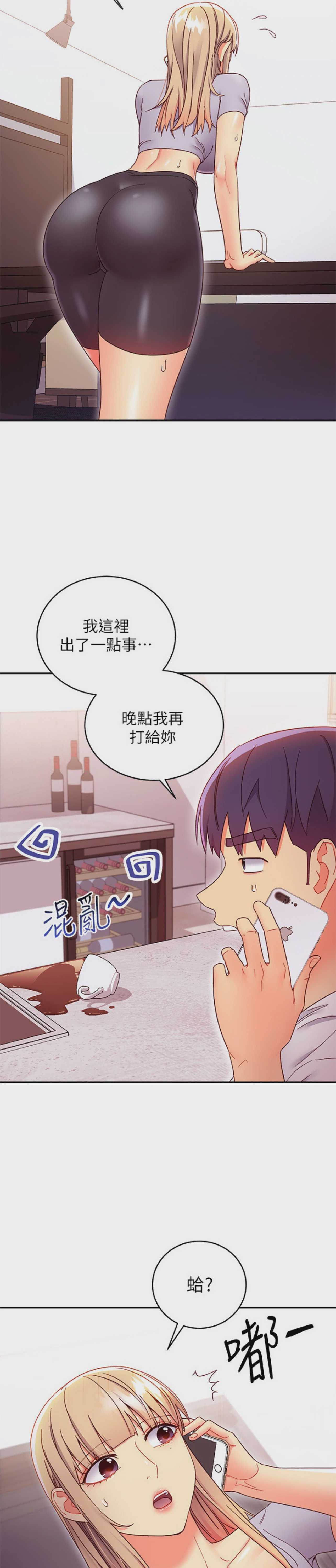 继母的朋友们