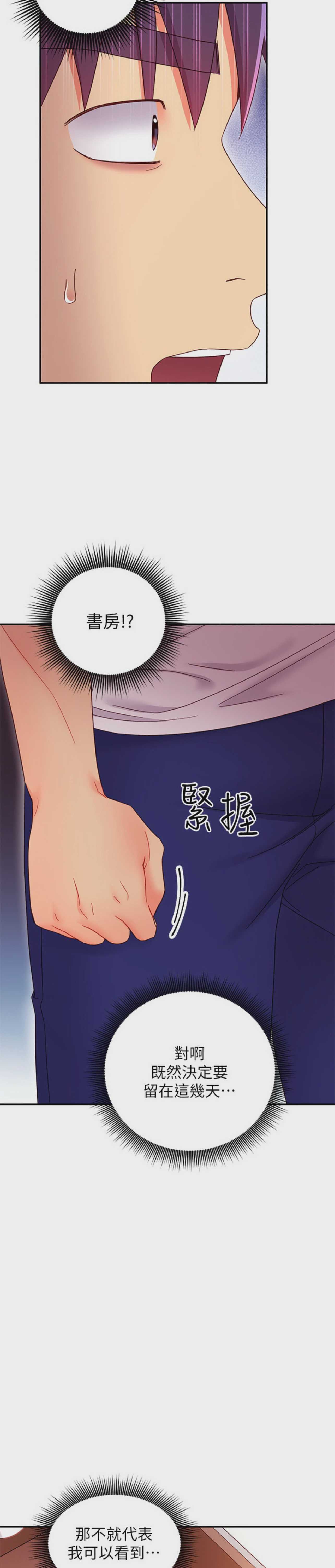 继母的朋友们