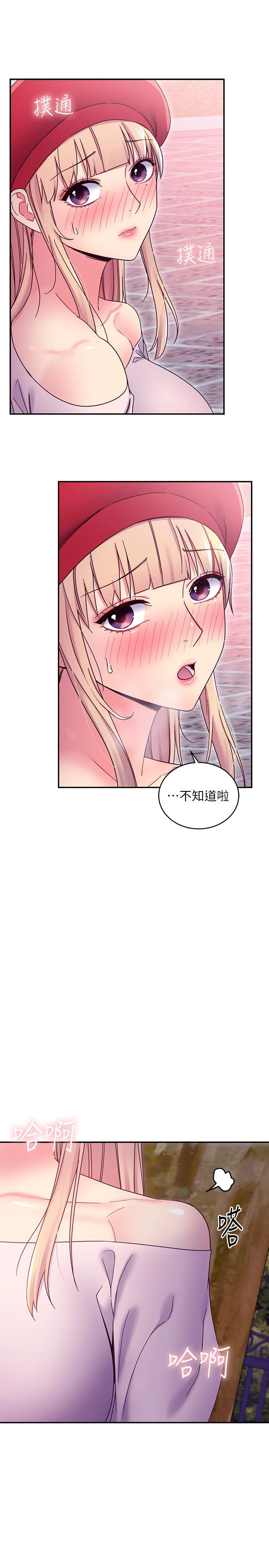 继母的朋友们