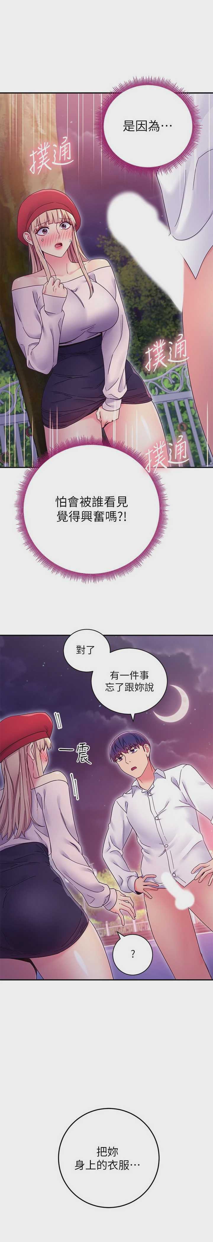继母的朋友们