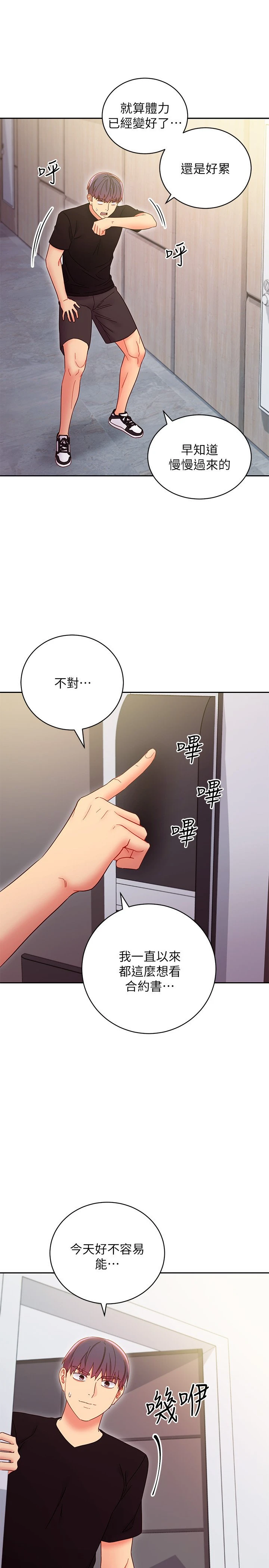 继母的朋友们