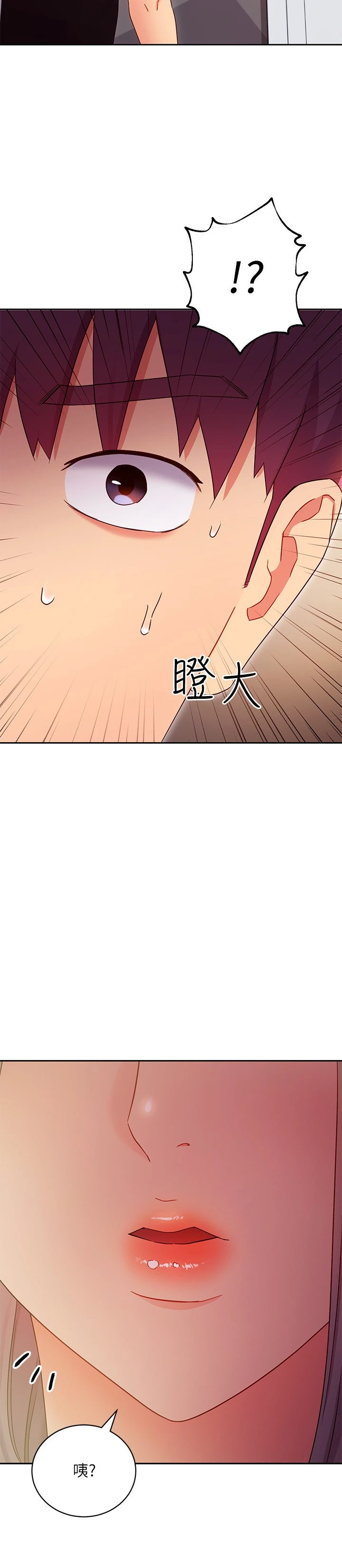 继母的朋友们