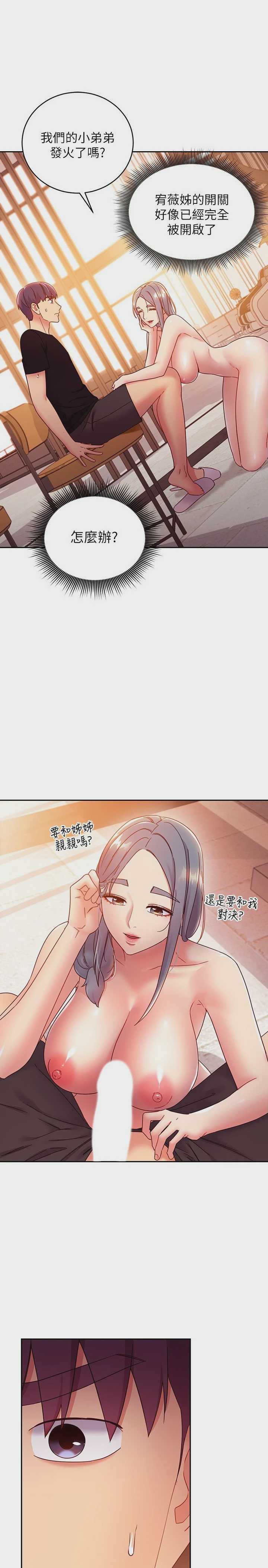 继母的朋友们