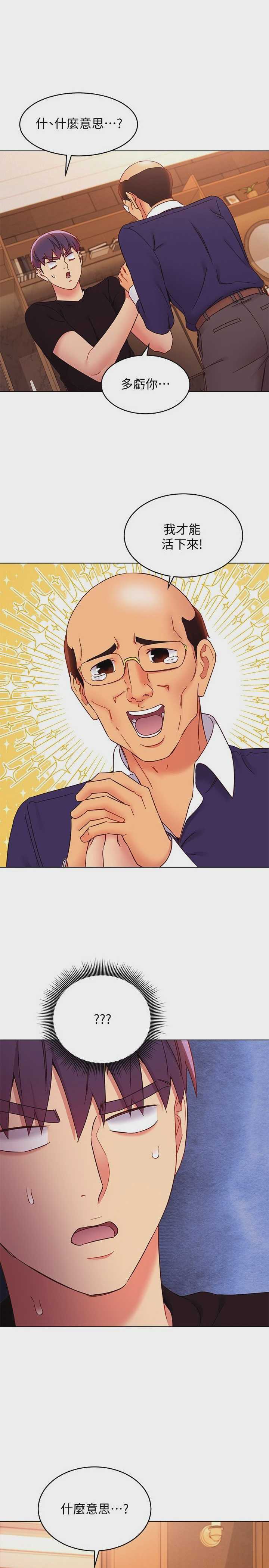 继母的朋友们