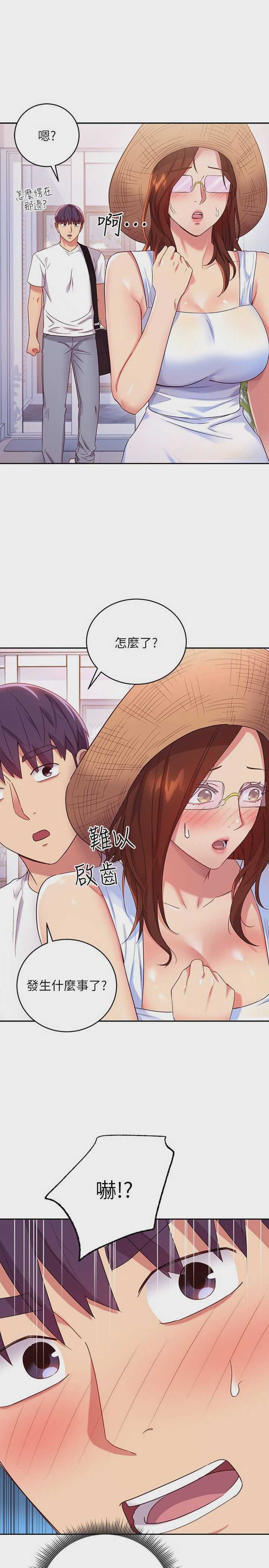 继母的朋友们