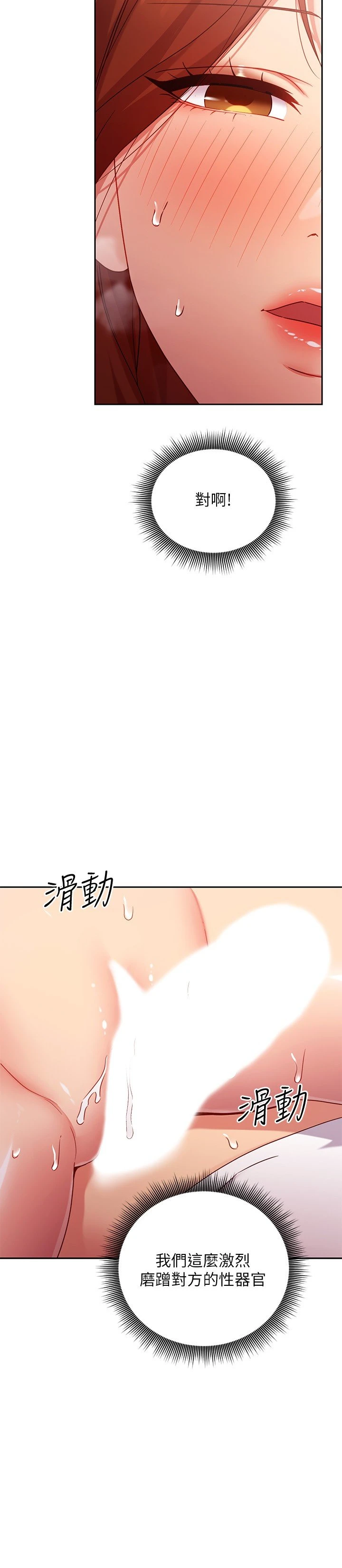 继母的朋友们