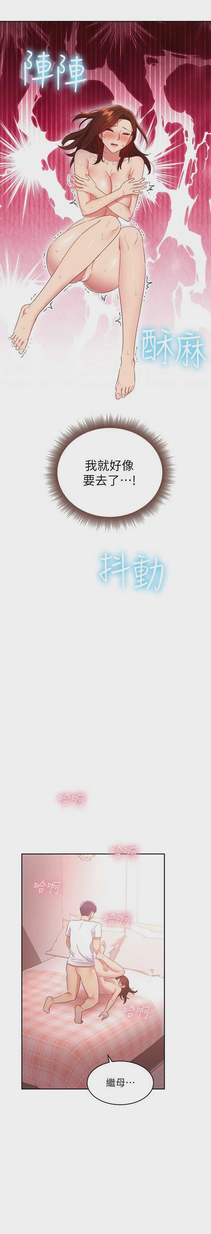 继母的朋友们