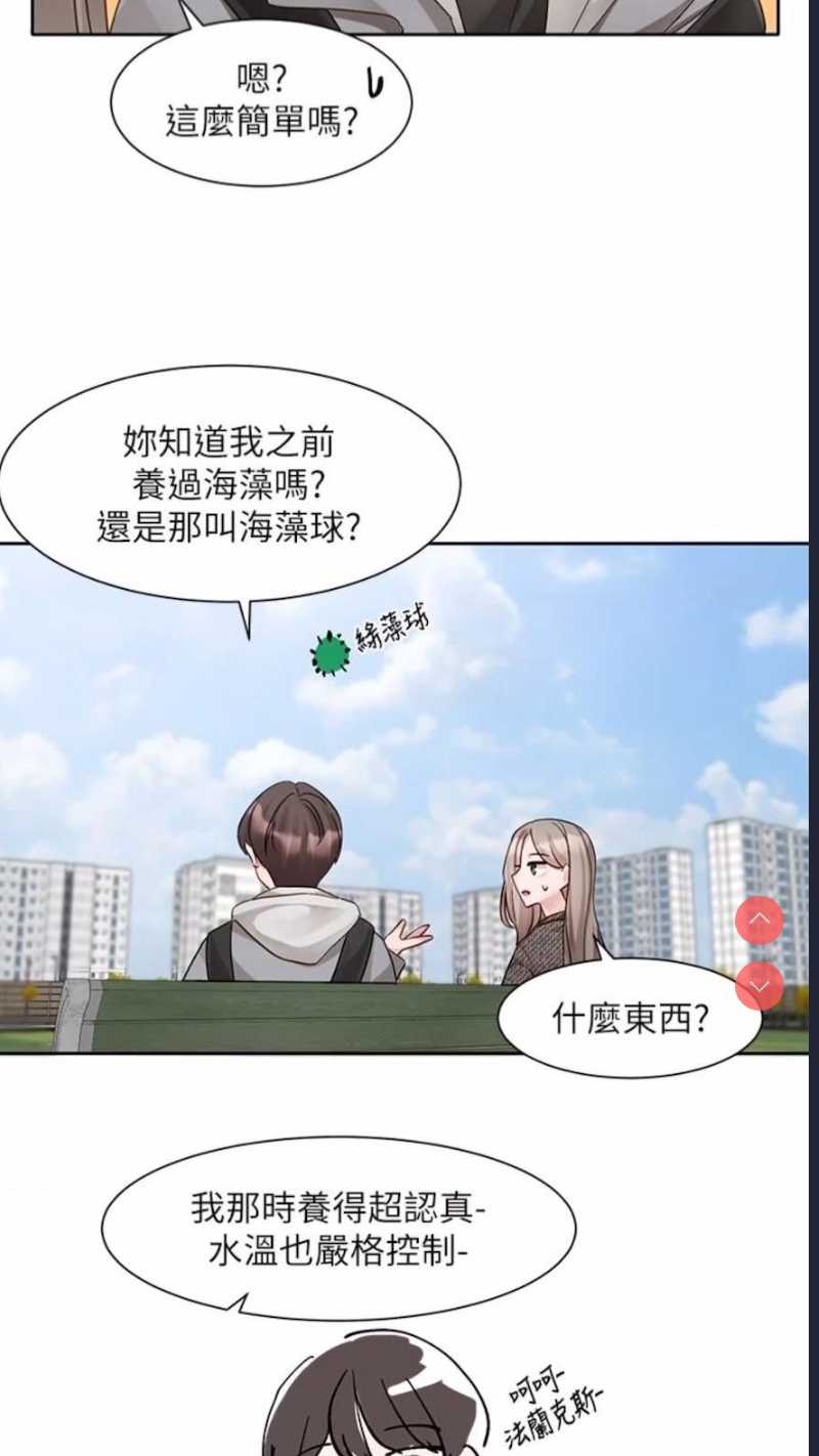 社团学姐