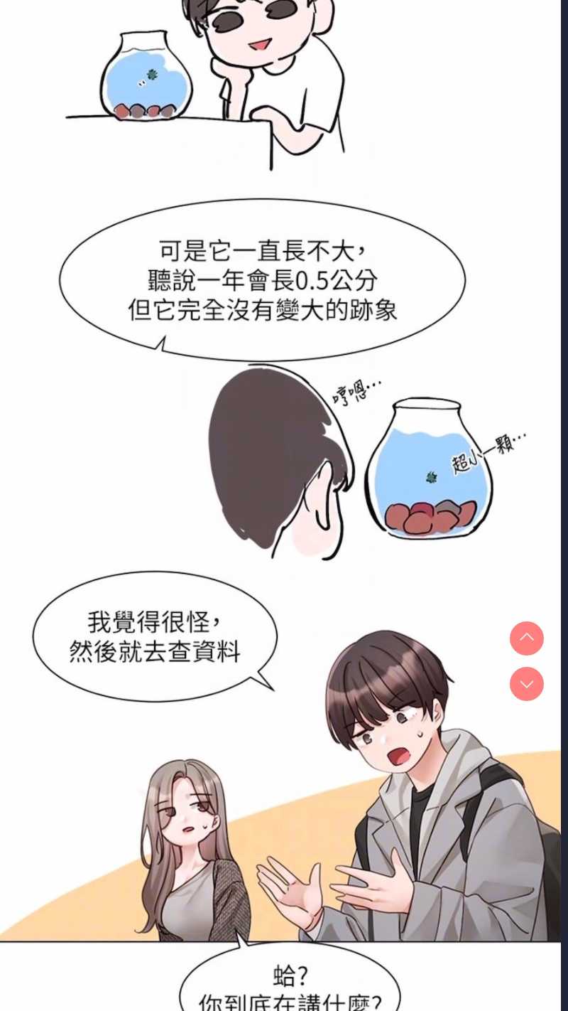 社团学姐