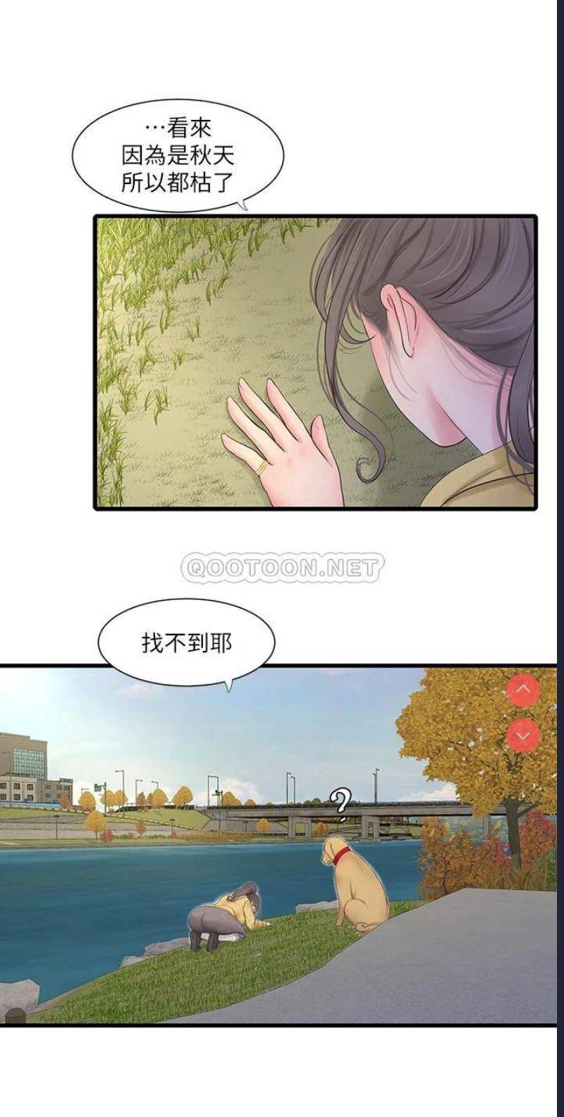 亲家四姐妹