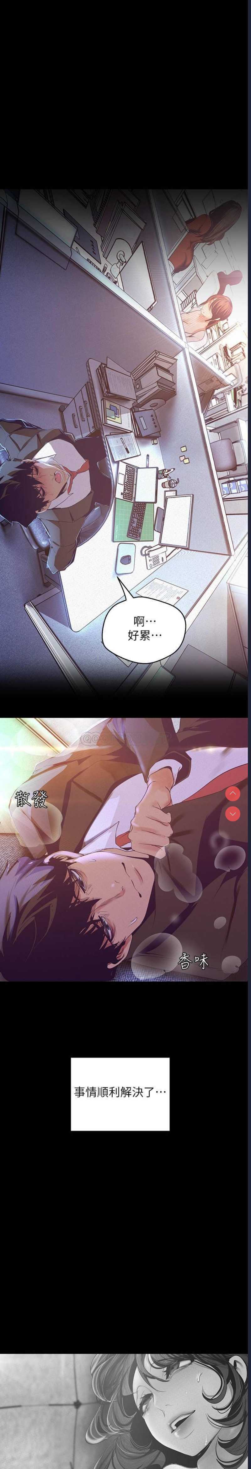 美丽新世界