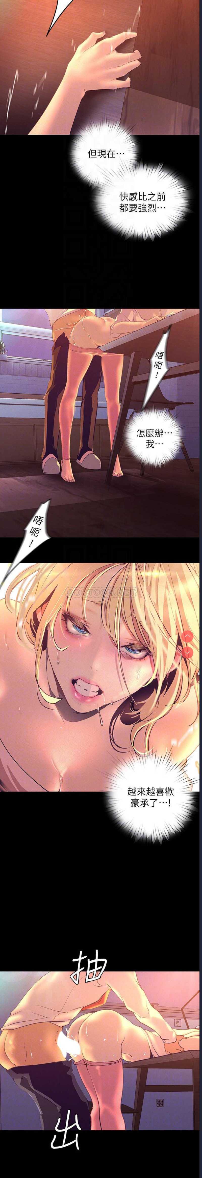 美丽新世界