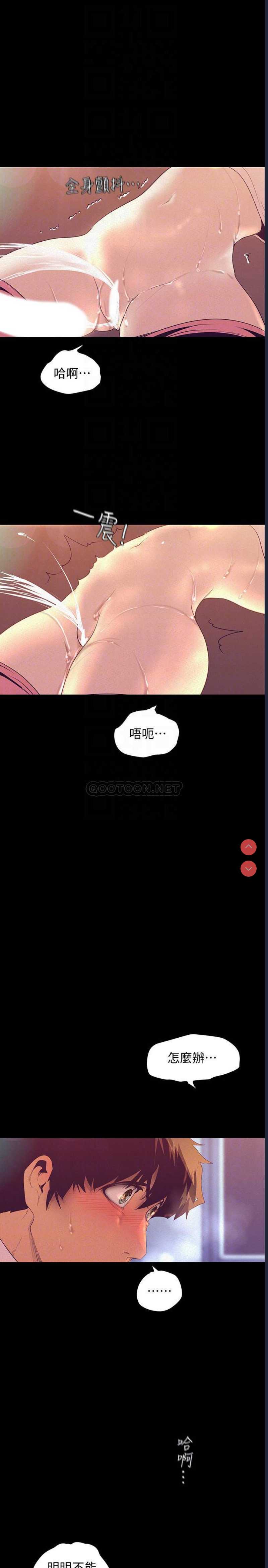 美丽新世界