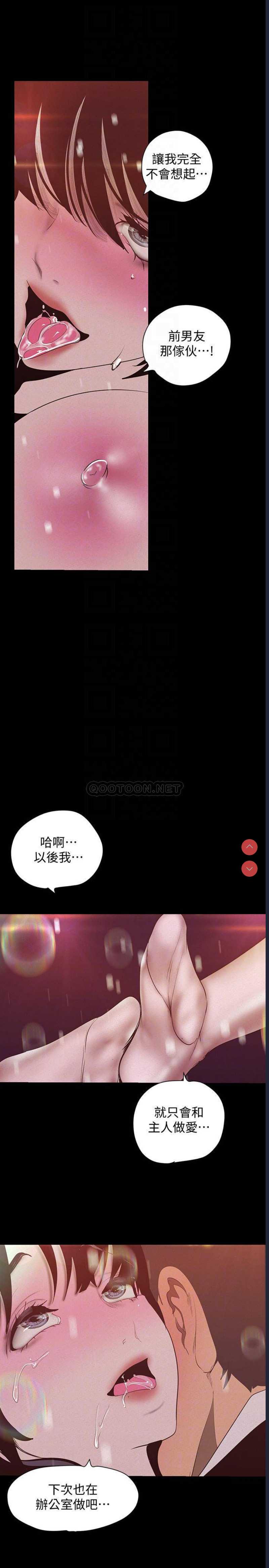 美丽新世界
