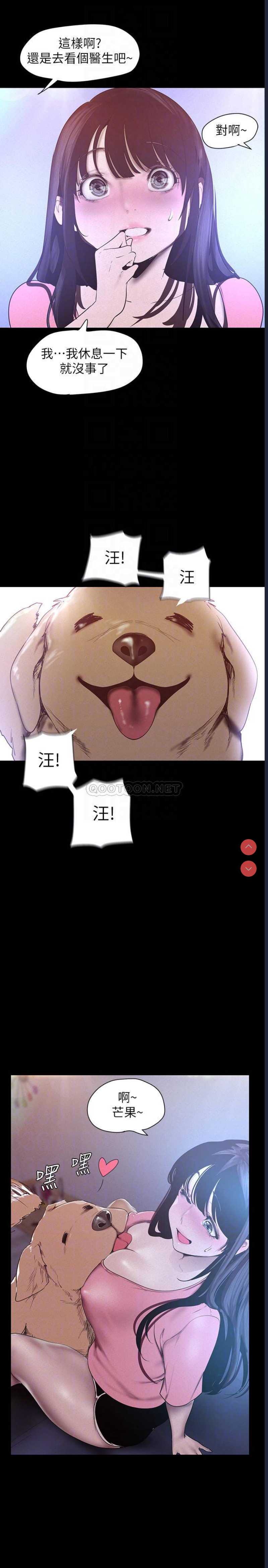 美丽新世界