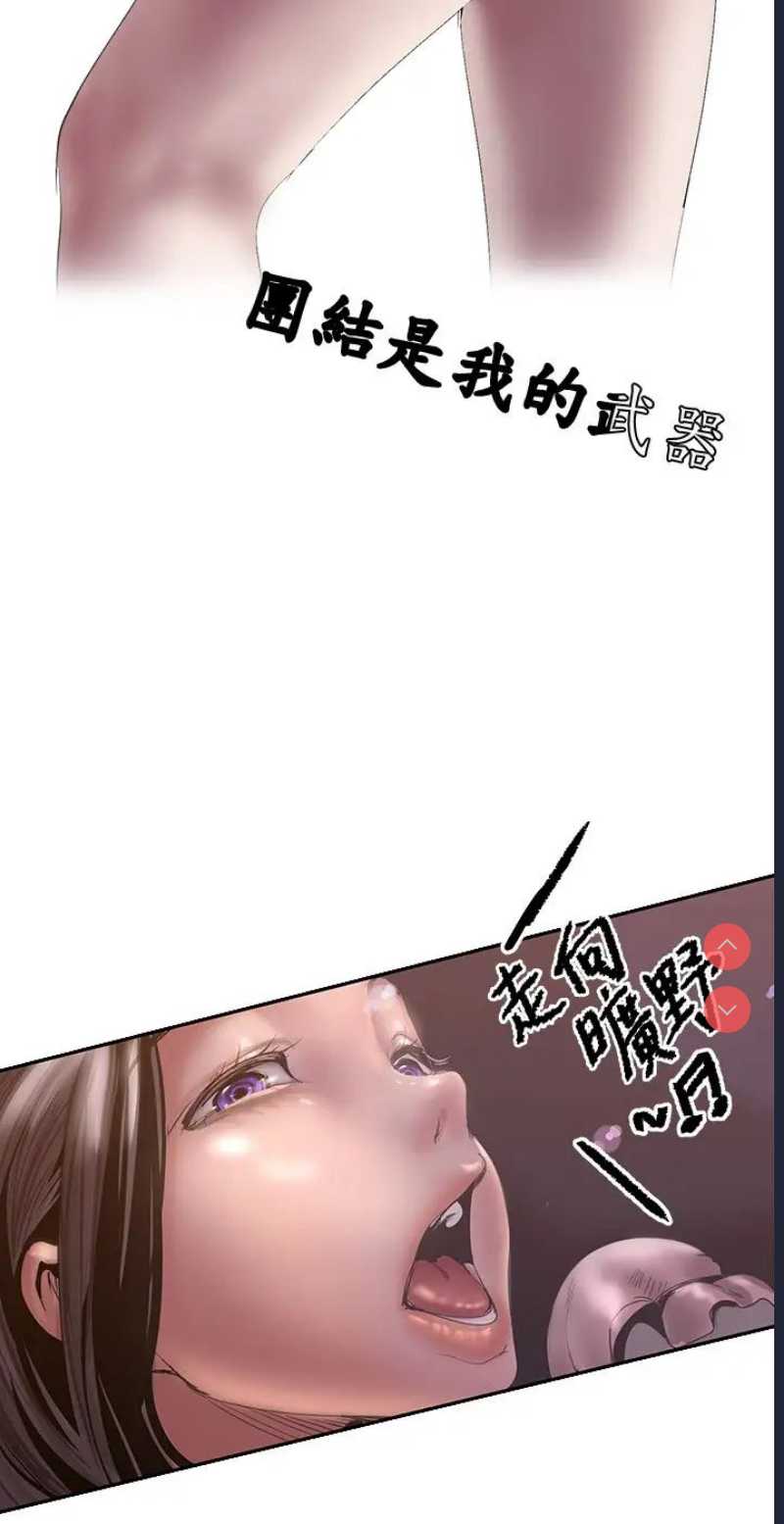 美丽新世界