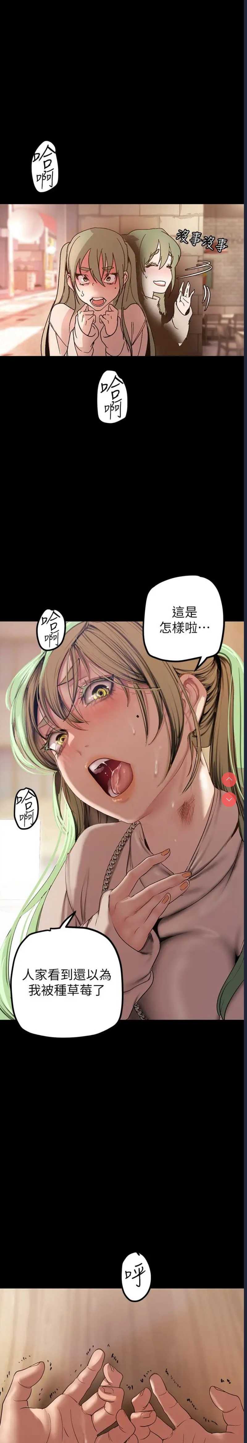 美丽新世界