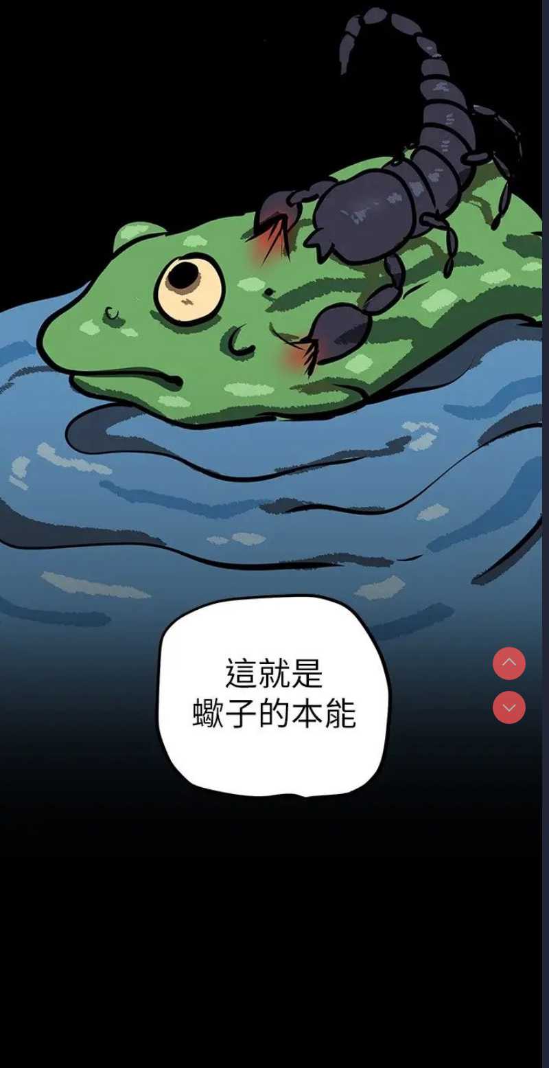 美丽新世界