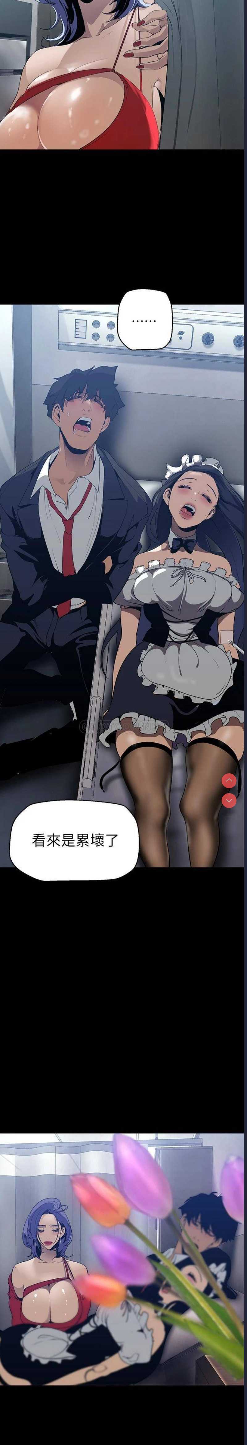 美丽新世界