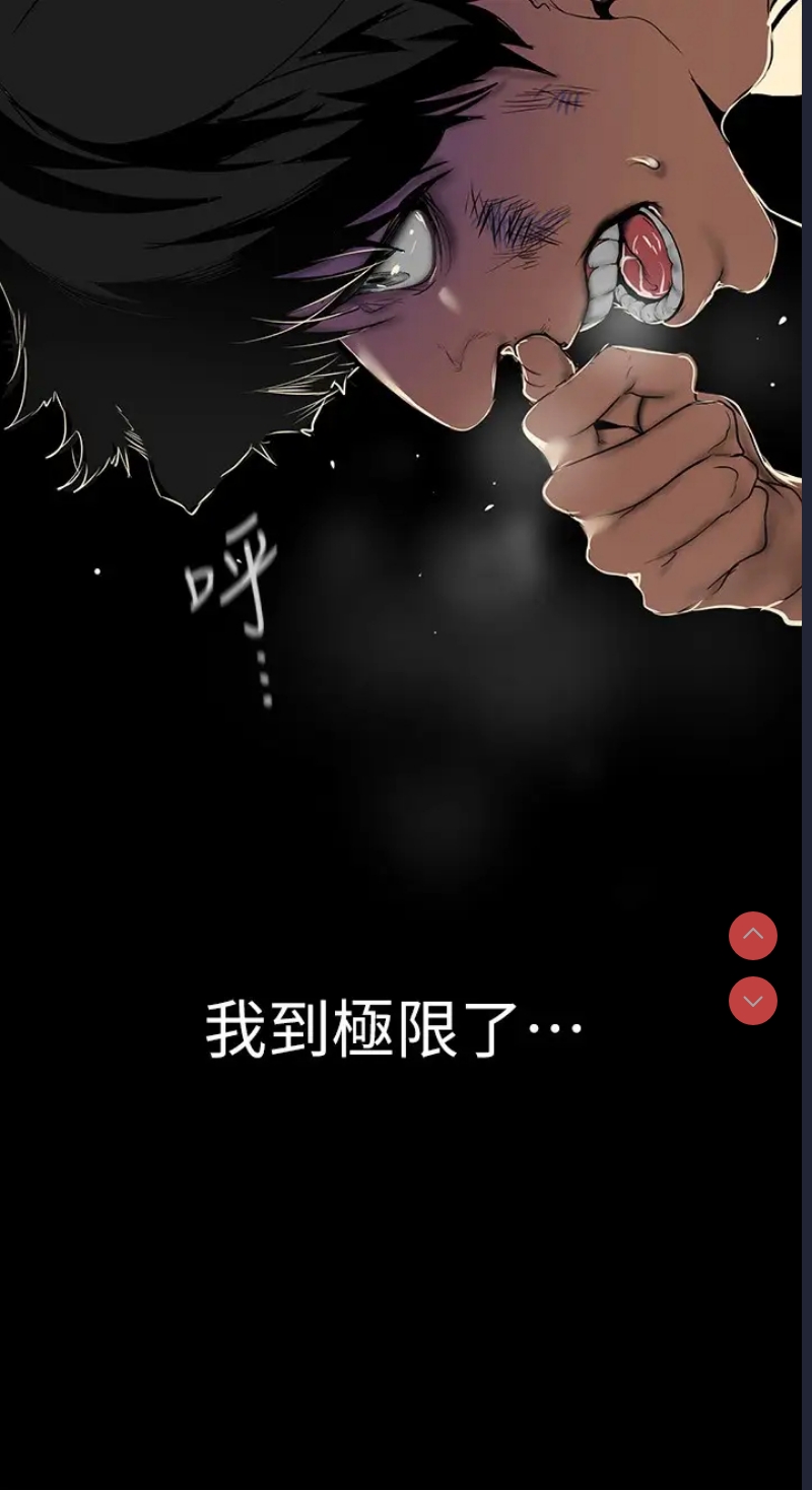 美丽新世界