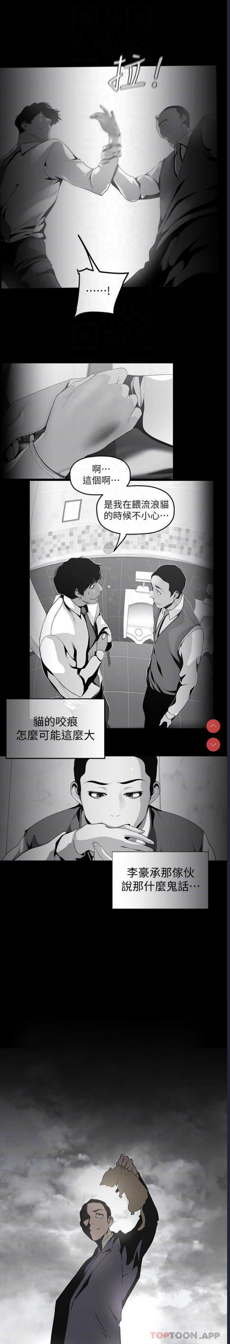 美丽新世界