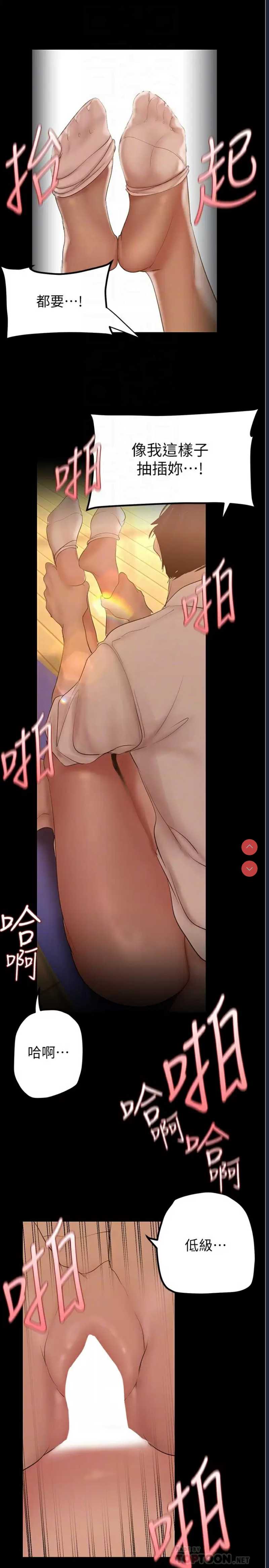 美丽新世界