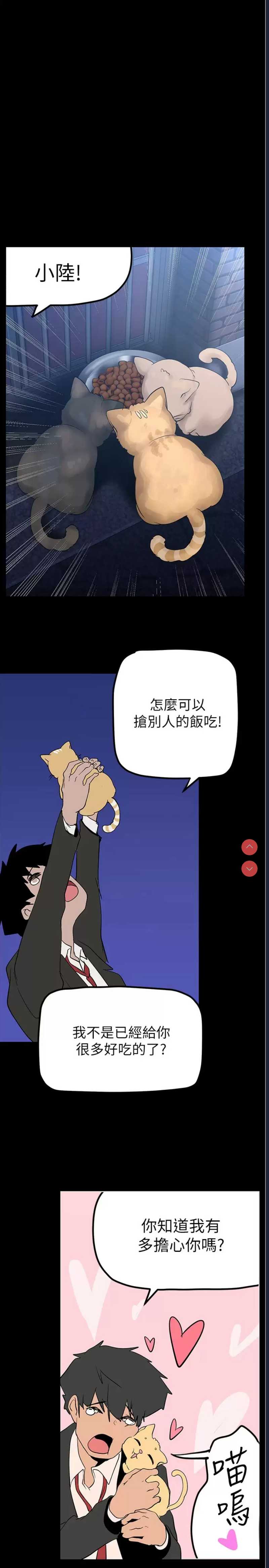 美丽新世界