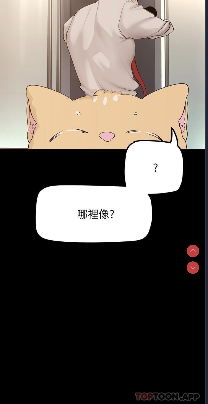美丽新世界