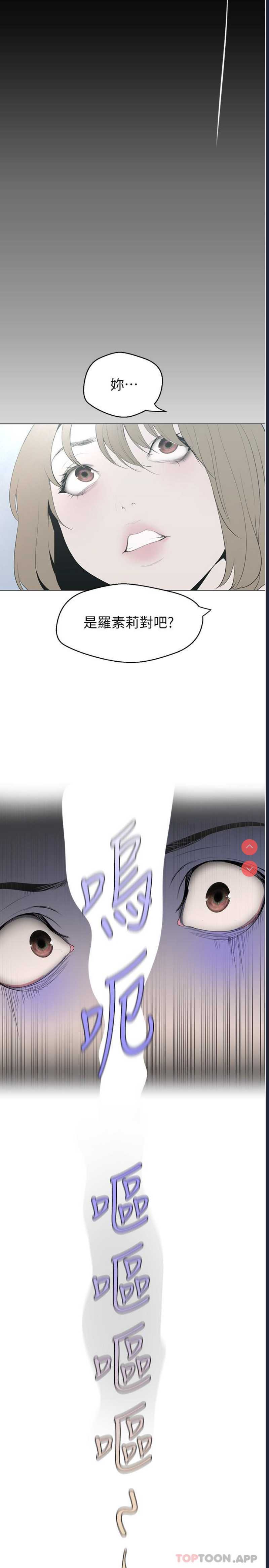 美丽新世界