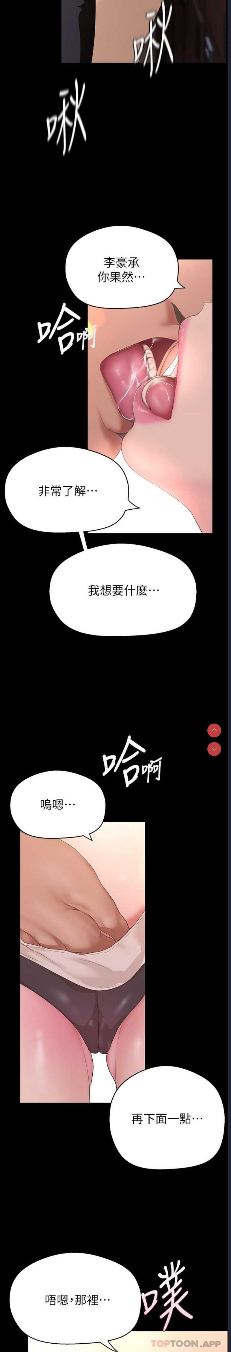 美丽新世界