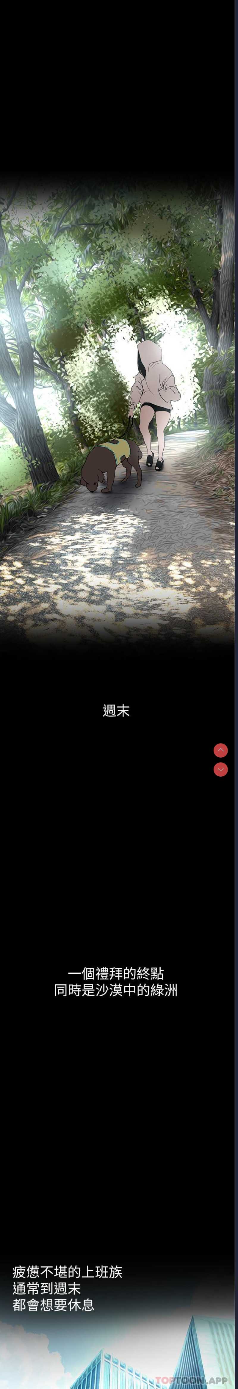 美丽新世界