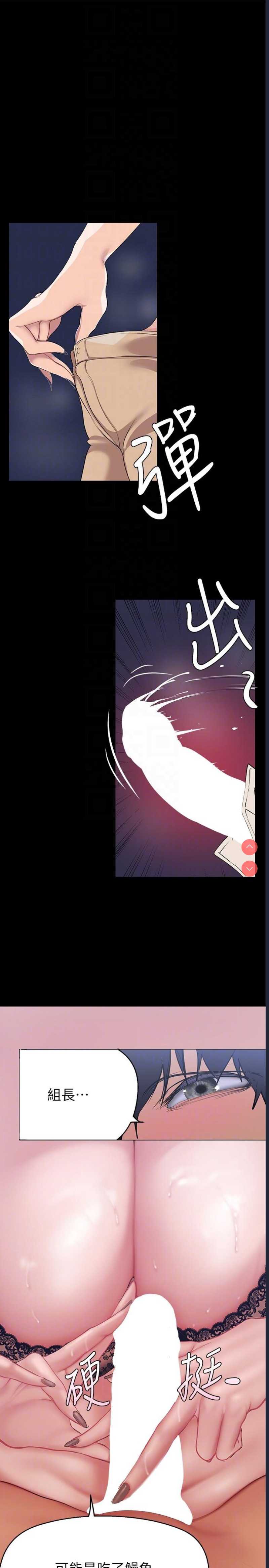 美丽新世界