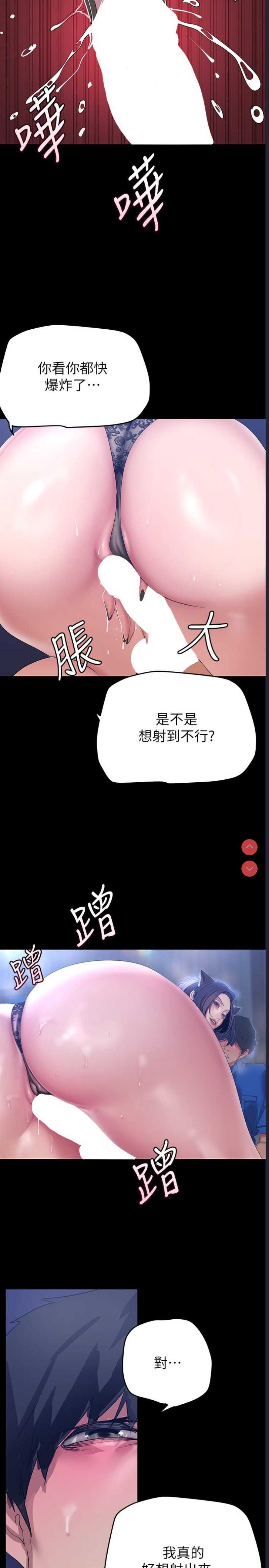 美丽新世界