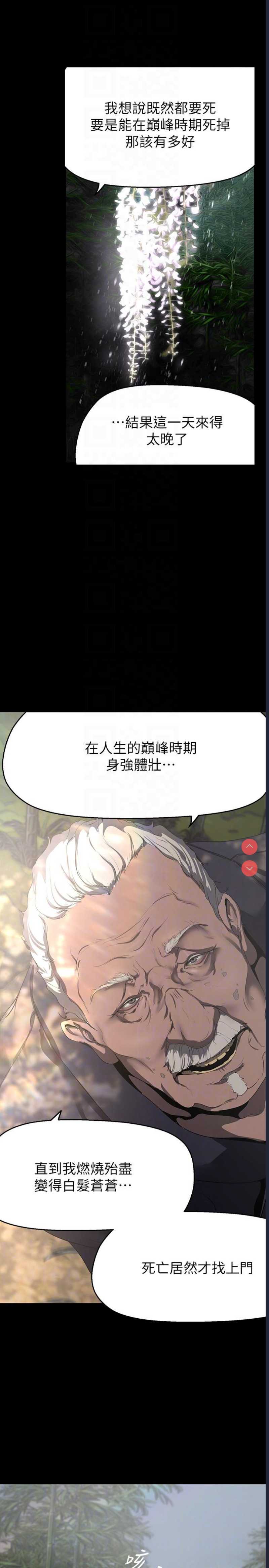 美丽新世界