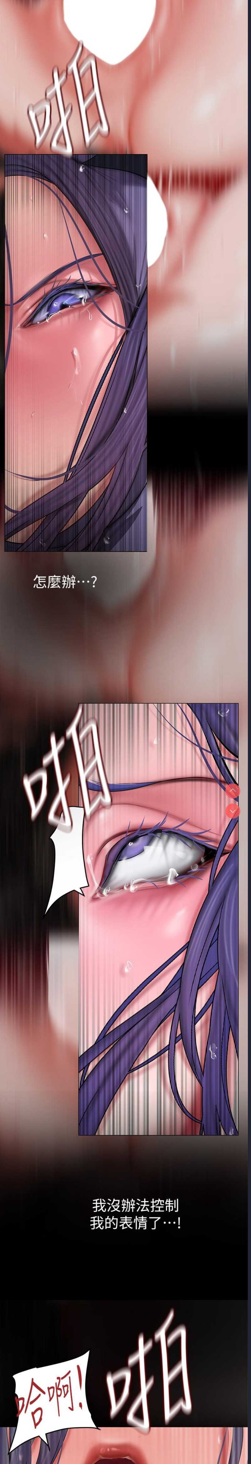 美丽新世界