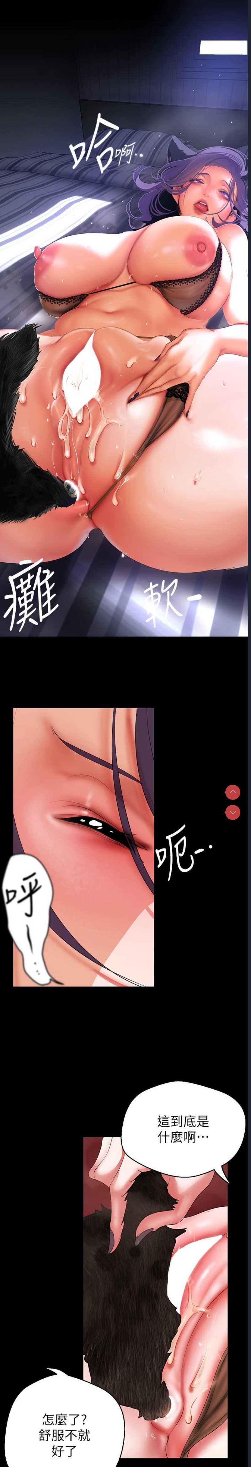 美丽新世界