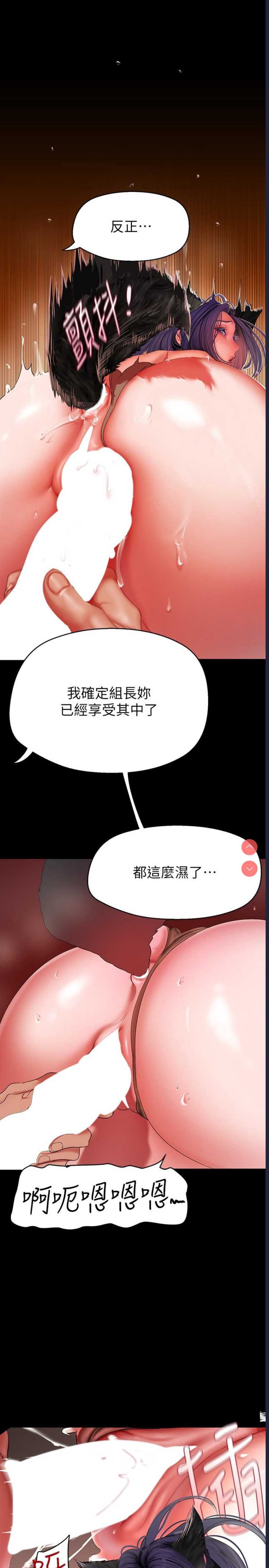 美丽新世界