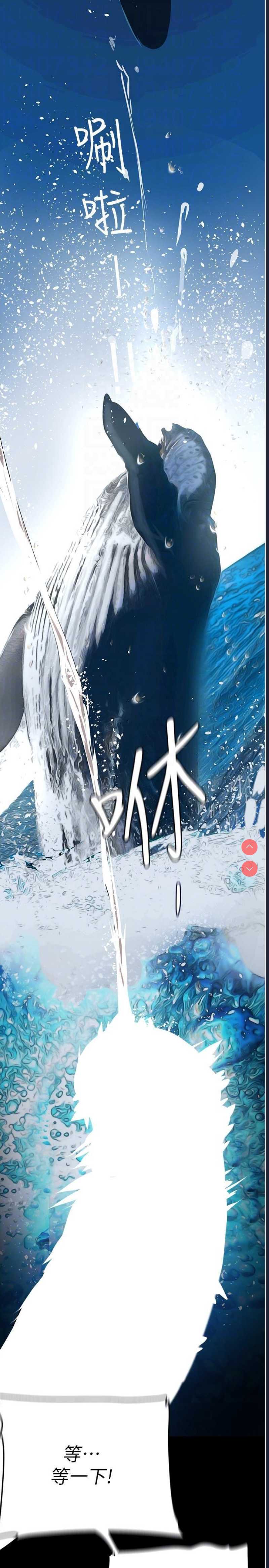 美丽新世界